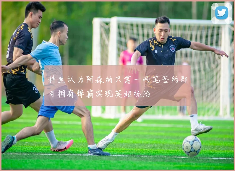 特里认为阿森纳只需一两笔签约即可拥有锋霸实现英超统治